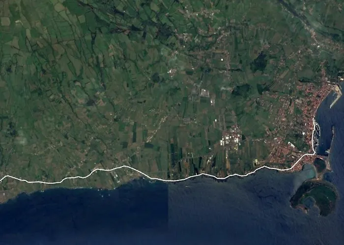 Avenida - Al 1798 * Орта