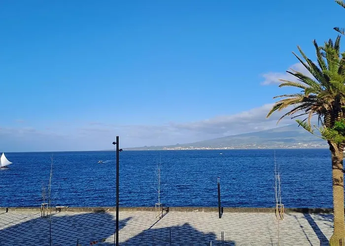 Apartamento Avenida - Al 1798 *